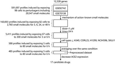 In silico Drug Screening Approach Using L1000-Based Connectivity Map and Its Application to COVID-19